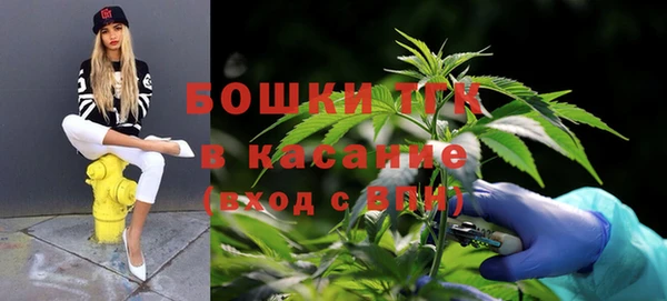 круглые Белокуриха
