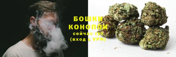 круглые Белокуриха